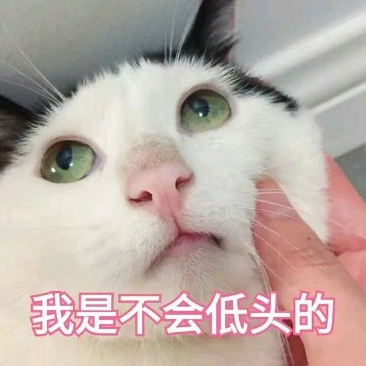 6A9C3